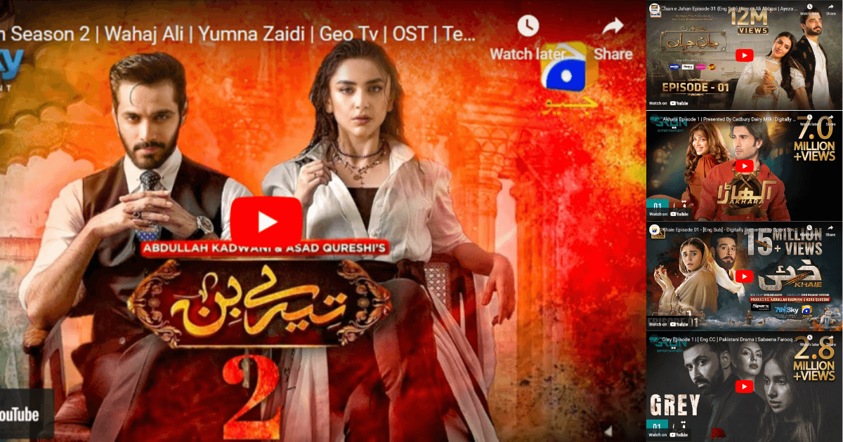 Top 5 Pakistani Dramas List 2024